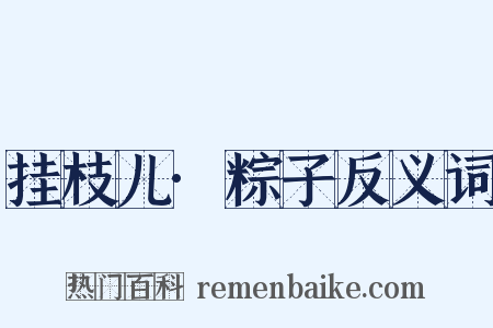挂枝儿·粽子反义词是什么意思的图片